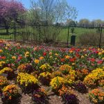 Lewis Ginter 4