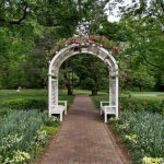 Trellis