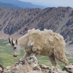 Colorado John 6