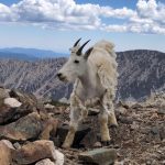 Colorado John 7