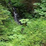 Juneau Alaska 12