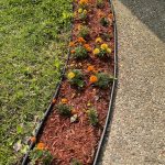 My Flowers 6