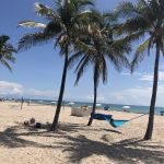Singer Island