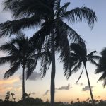 Singer Island 4