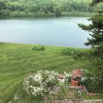 Fern's Yard 2
