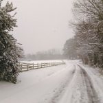 John's Snow