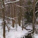 John's Snow 3