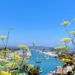 Laurie's Bay