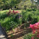 Lewis Ginter April 18, 2023