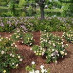 Lewis Ginter April 25, 2023 10