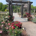 Lewis Ginter May 17, 2023 15