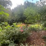Lewis Ginter Botanical Garden August 8, 2023 105