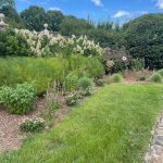 Lewis Ginter Botanical Garden August 8, 2023 114