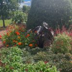 Lewis Ginter Botanical Garden August 8, 2023 35