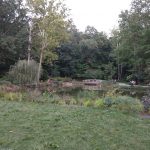 Park Near JMU 4
