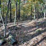 Blue Ridge Parkway 12