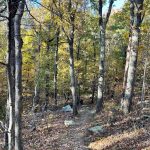 Blue Ridge Parkway 15