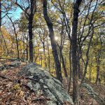 Blue Ridge Parkway 16