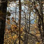 Blue Ridge Parkway 18