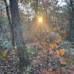 Blue Ridge Parkway 21