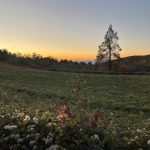 Blue Ridge Parkway 25