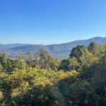 Blue Ridge Parkway 3
