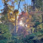 Blue Ridge Parkway 9