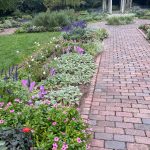 Flowers at Lewis Ginter Botanical Garden 3