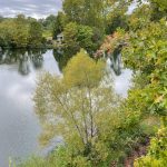 Lake at Lewis Ginter Botanical Garden