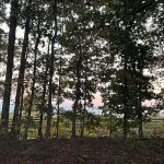 Powhatan 15