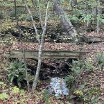 Powhatan 7