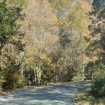 Country Road in Hanover, Virginia