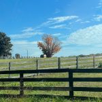 Farm in Hanover, Virginia
