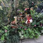 Lewis Ginter Botanical Garden 20