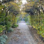 Lewis Ginter Botanical Garden 31