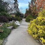 Lewis Ginter Botanical Garden 34