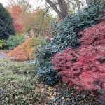 Lewis Ginter Botanical Garden 37