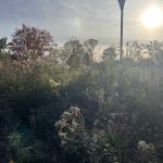 Lewis Ginter Botanical Gardens