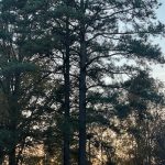 Walk around the neighborhood 10