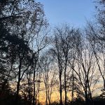 Walk around the neighborhood 12