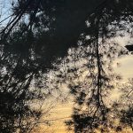 Walk around the neighborhood 14