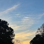 Walk around the neighborhood 17