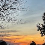 Walk around the neighborhood 21