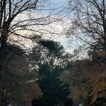 Walk around the neighborhood 9