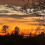 Chase The Sunset 5