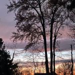 Chase The Sunset 7