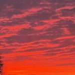 Sunset 10