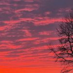 Sunset 11