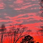 Sunset 12