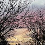 Sunset 6